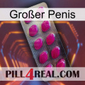 Großer Penis 09